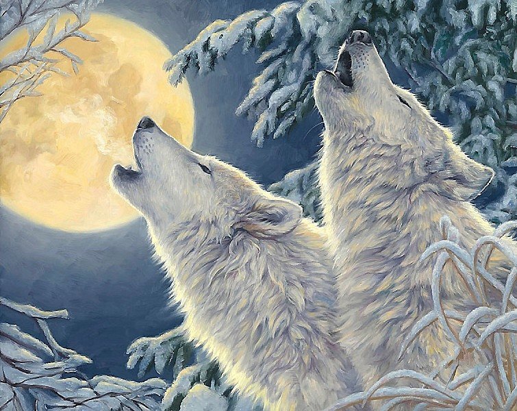 волки и луна - мир животных - оригинал