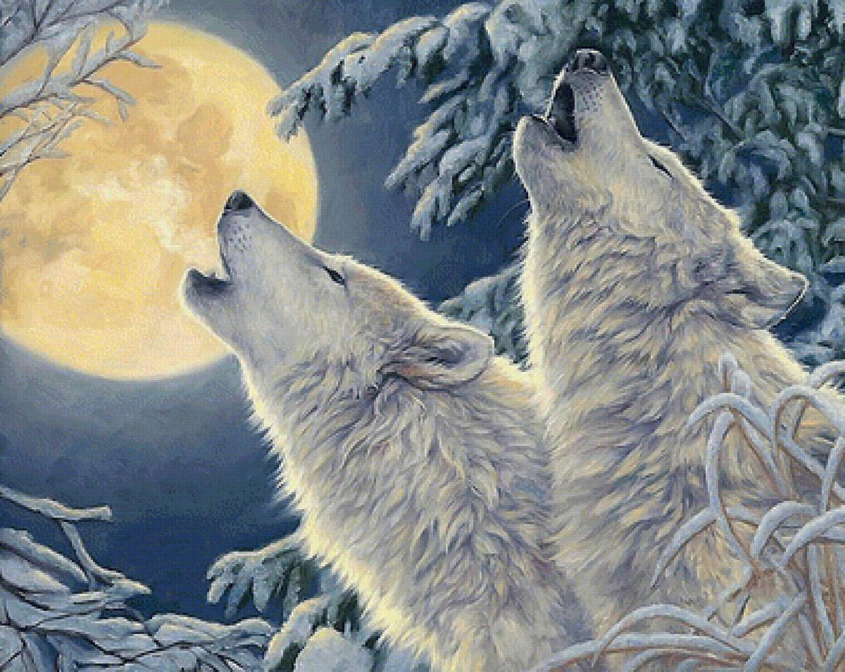 волки и луна - мир животных - предпросмотр