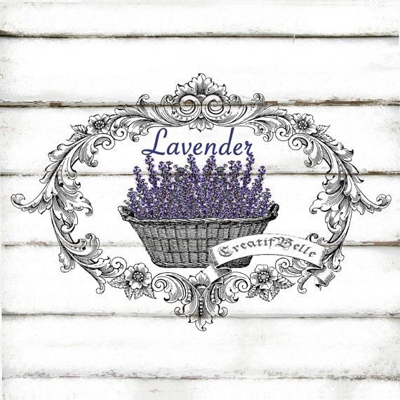 лаванда - прованс, лаванда - оригинал