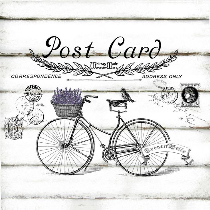 лаванда - прованс, лаванда - оригинал