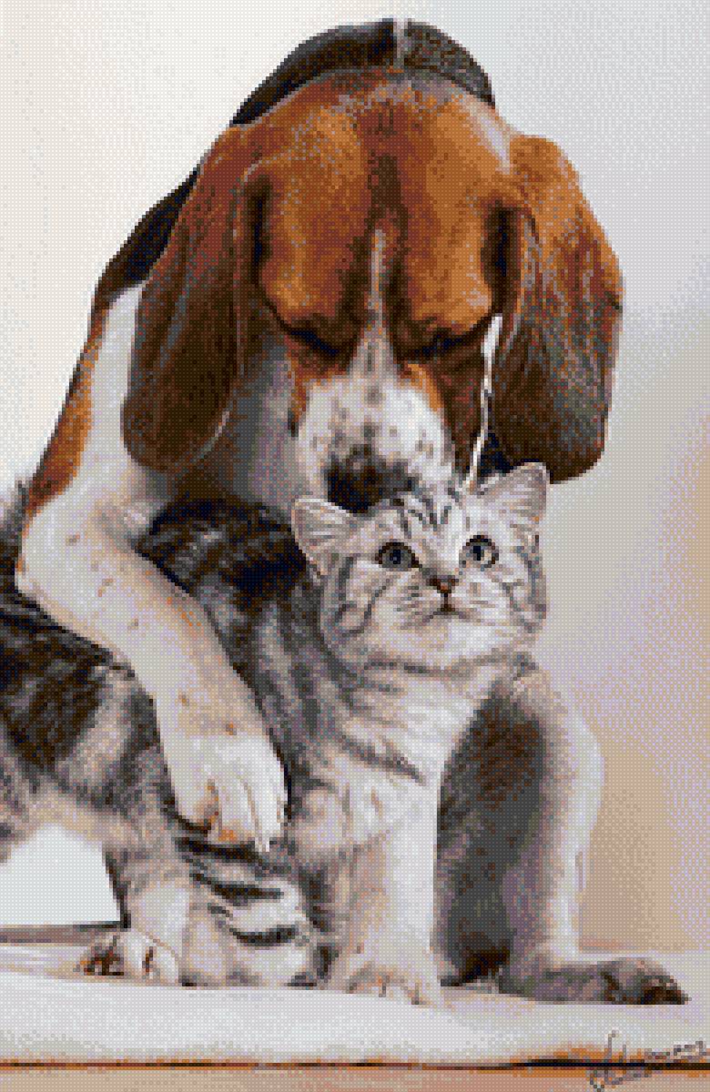 Давай дружить - котенок, дружба, пес, собака - предпросмотр