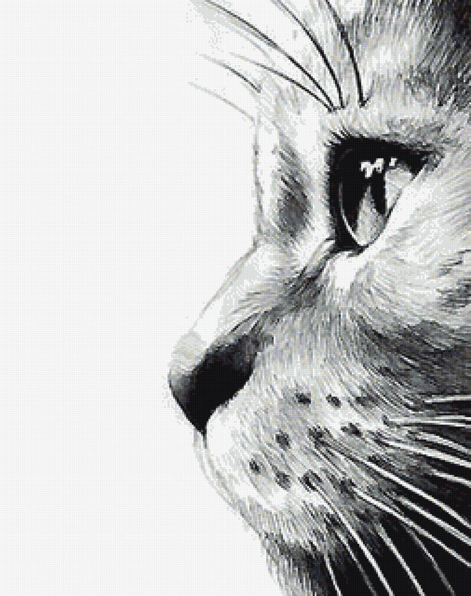 рисунок - предпросмотр