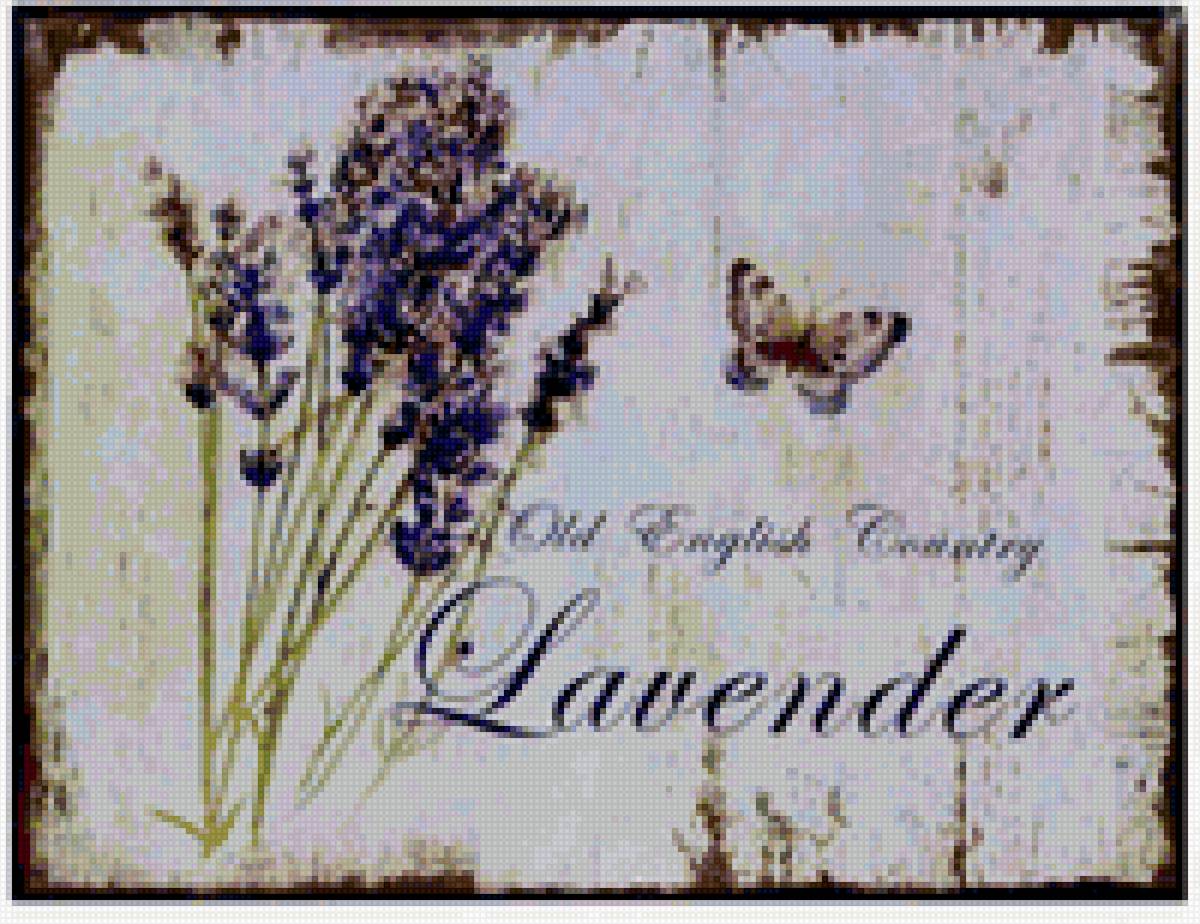 лаванда - лаванда, прованс - предпросмотр