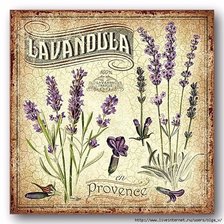 Схема вышивки «лаванда»