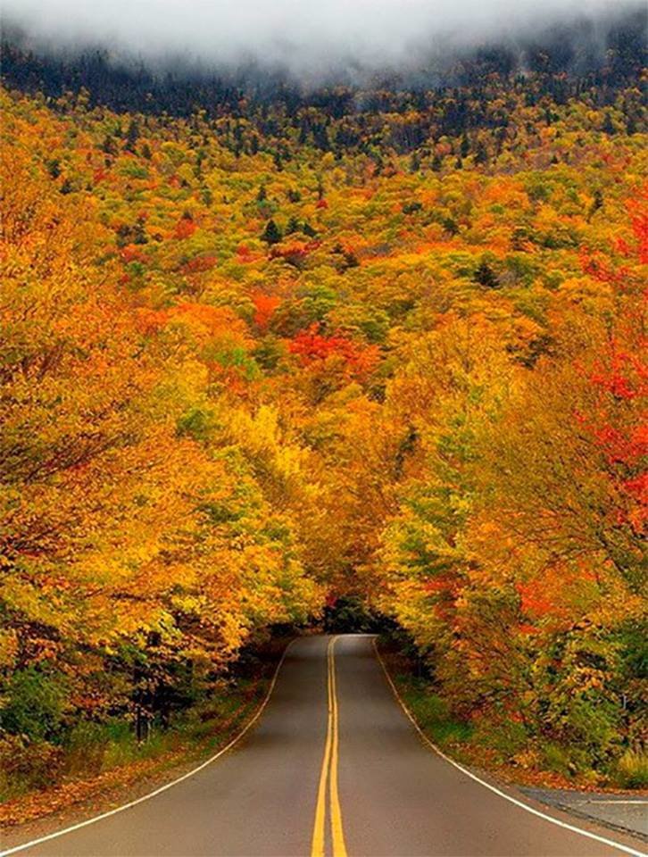 შემოდგომა-осень - оригинал