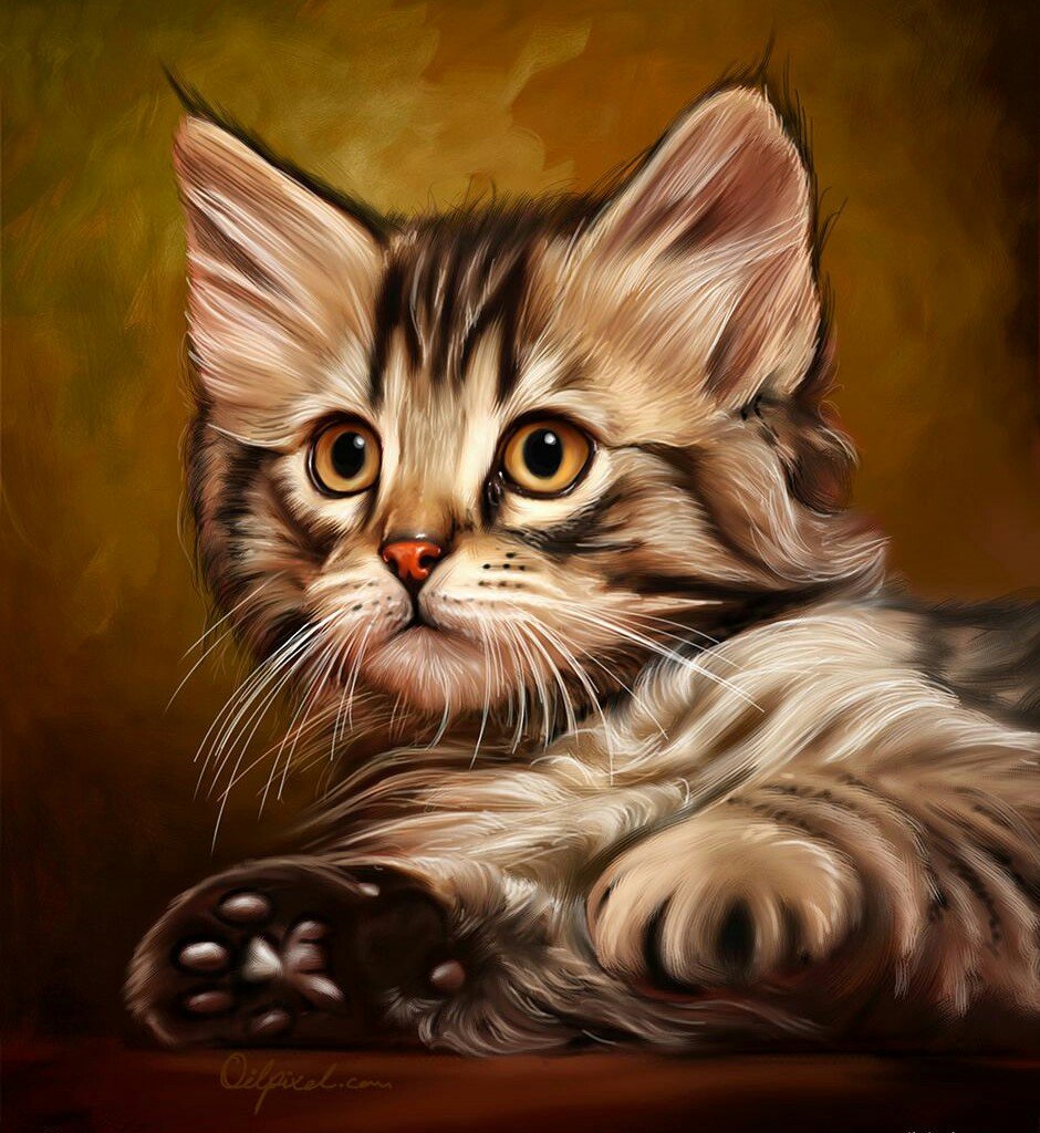 Котёнок - котик, котенок, кот, животные - оригинал