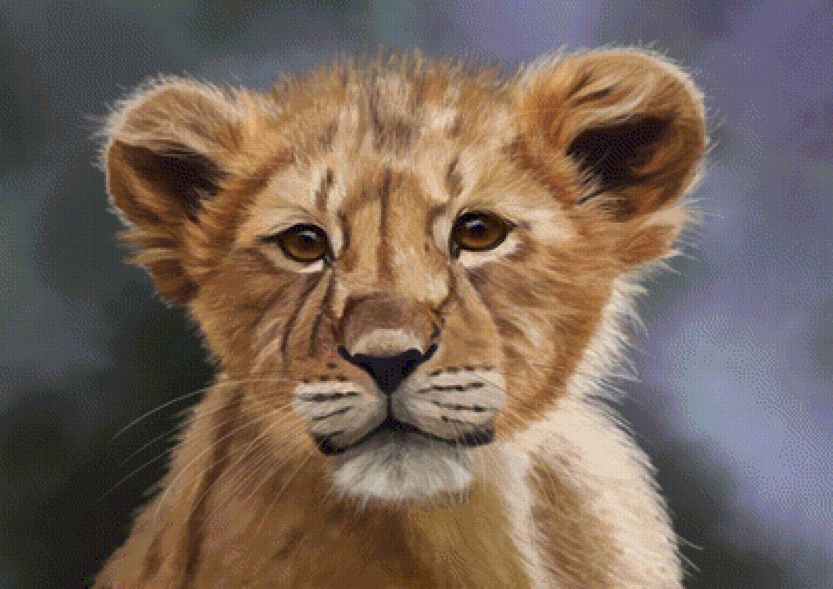 Лев - царь зверей, лев, животные, львенок - предпросмотр