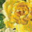 Предпросмотр схемы вышивки «Натюрморт» (№1856320)
