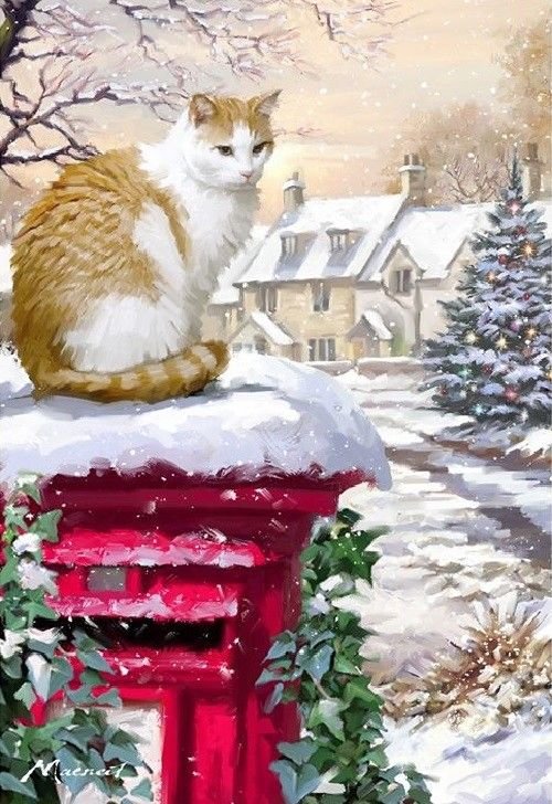 gatto - neve, gatto, rosso - оригинал