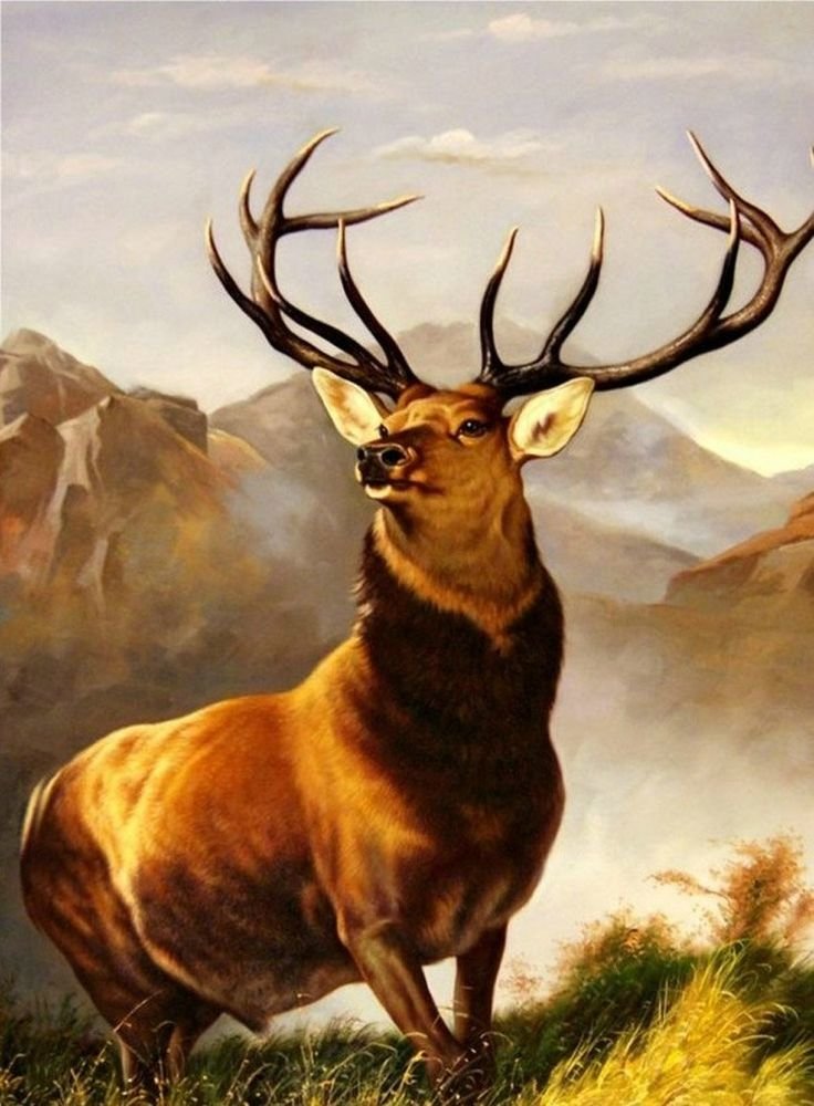 По картине Августо Бруно - олень - оригинал