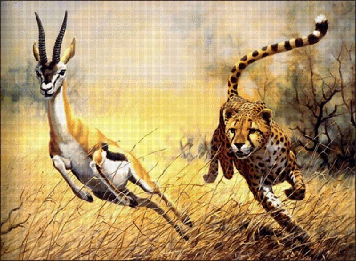 Chase animals. Coheleach, guy художник. Картины животных. Животные рисунки.