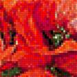 Предпросмотр схемы вышивки «Натюрморт.» (№1857559)