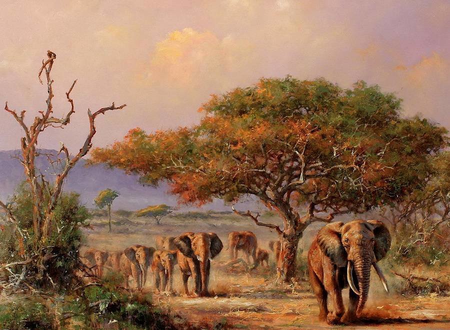 Хозяева Африки - слоны, африка, стадо - оригинал