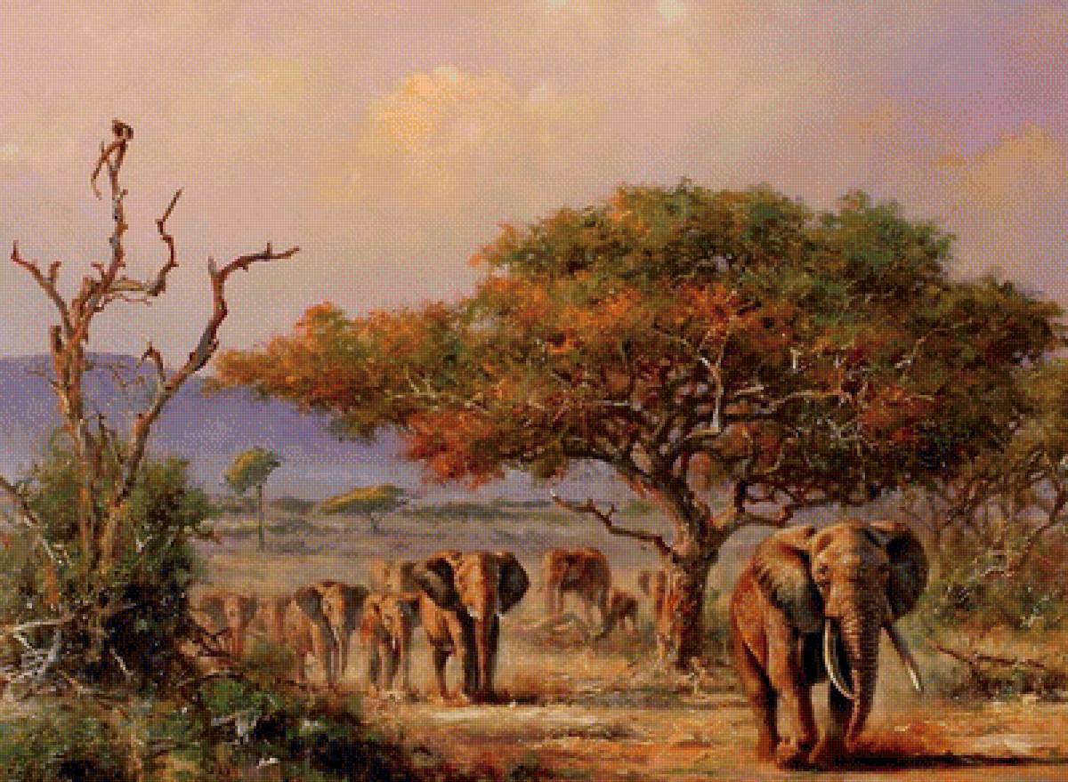Хозяева Африки - слоны, африка, стадо - предпросмотр