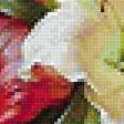 Предпросмотр схемы вышивки «натюрморт» (№1858095)