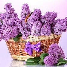 Схема вышивки «№1858191»