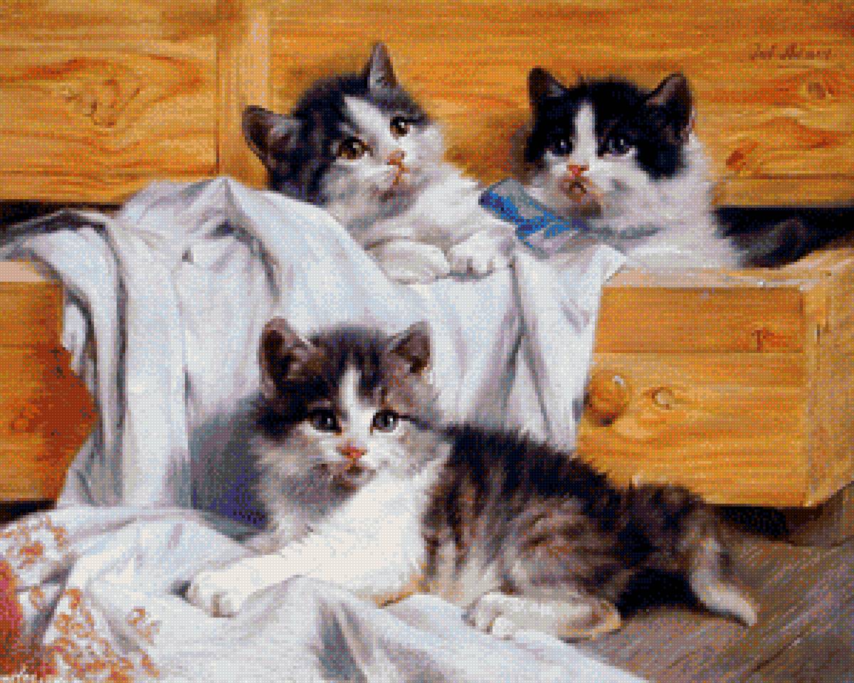 озорники - цветы, картина, кошки - предпросмотр