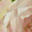 Предпросмотр схемы вышивки «серия цветы: розы» (№1858348)