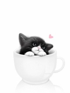 Gattino nella tazza - gatto - оригинал