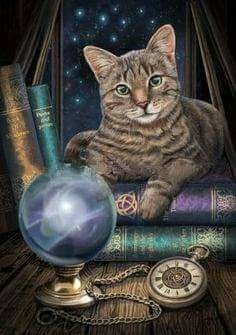 Gatto magico - gatto - оригинал