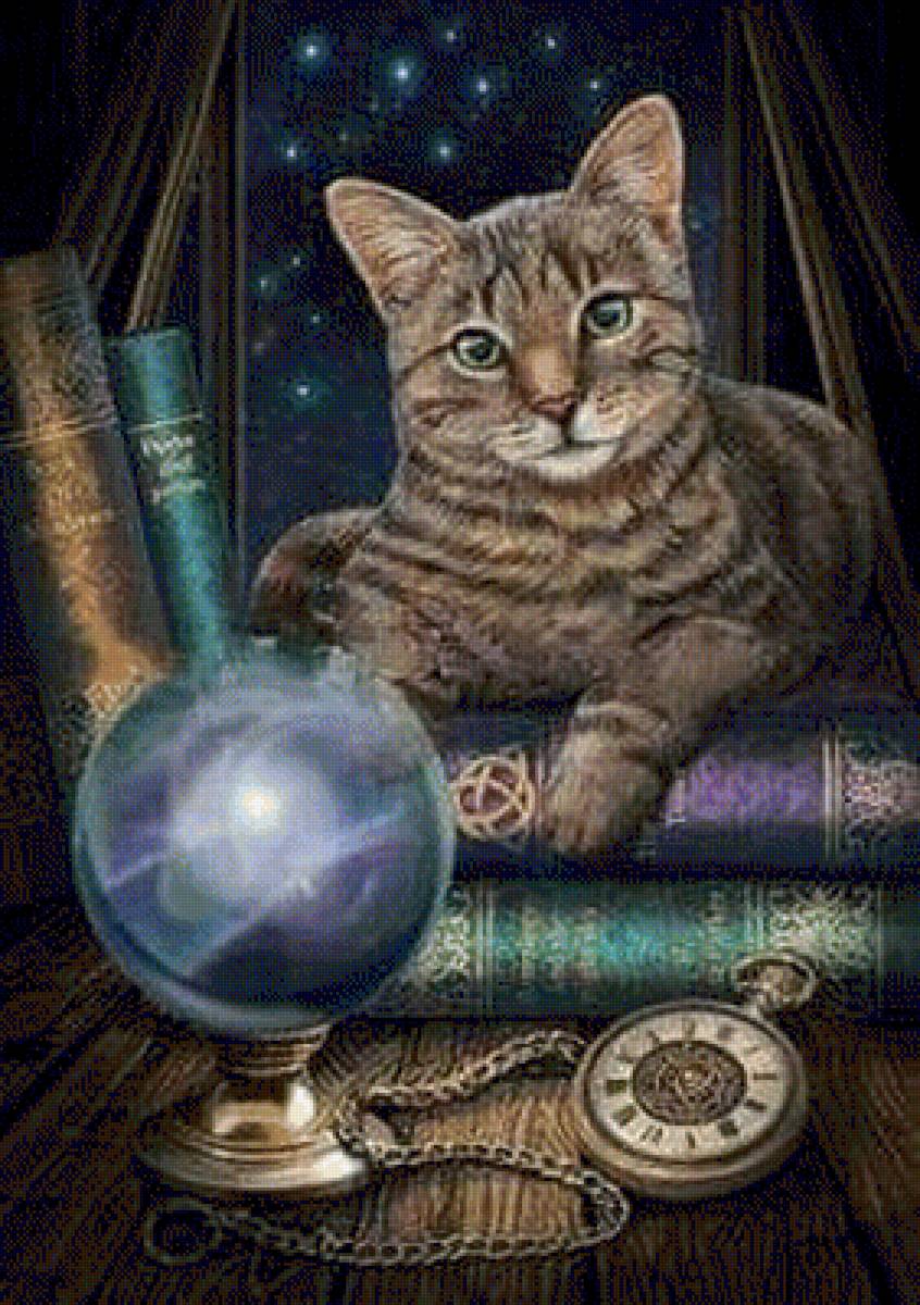 Gatto magico - gatto - предпросмотр