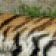 Предпросмотр схемы вышивки «серия хищники. тигр» (№1858949)