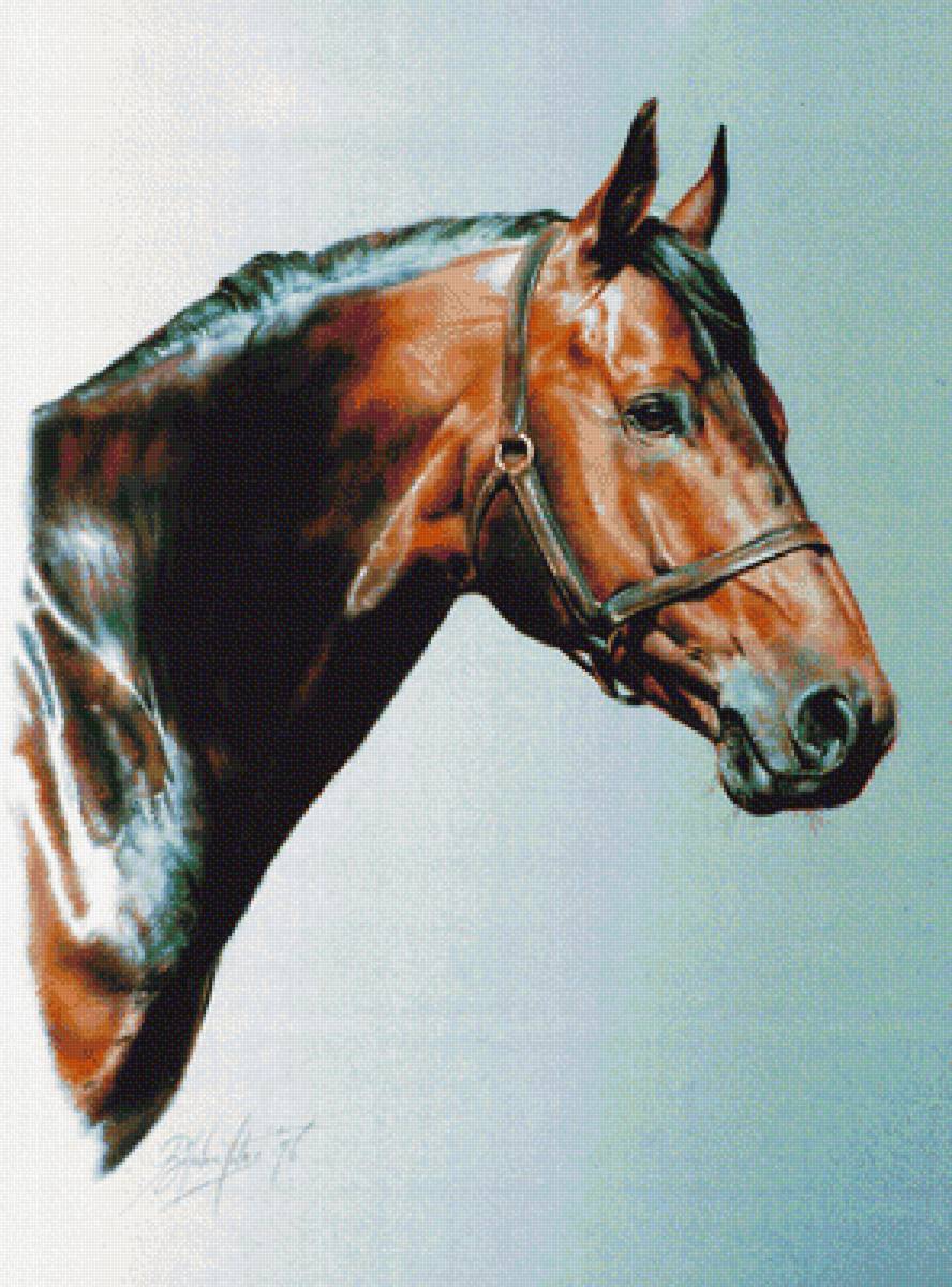 серия лошадки - картина, лошадь - предпросмотр