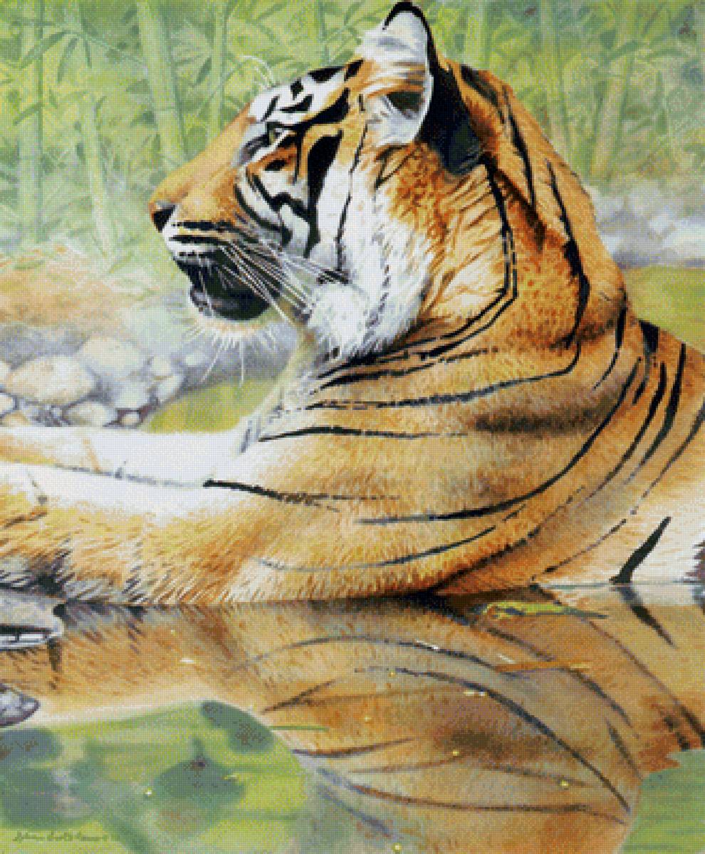 серия хищники. тигр - тигр, хищники - предпросмотр