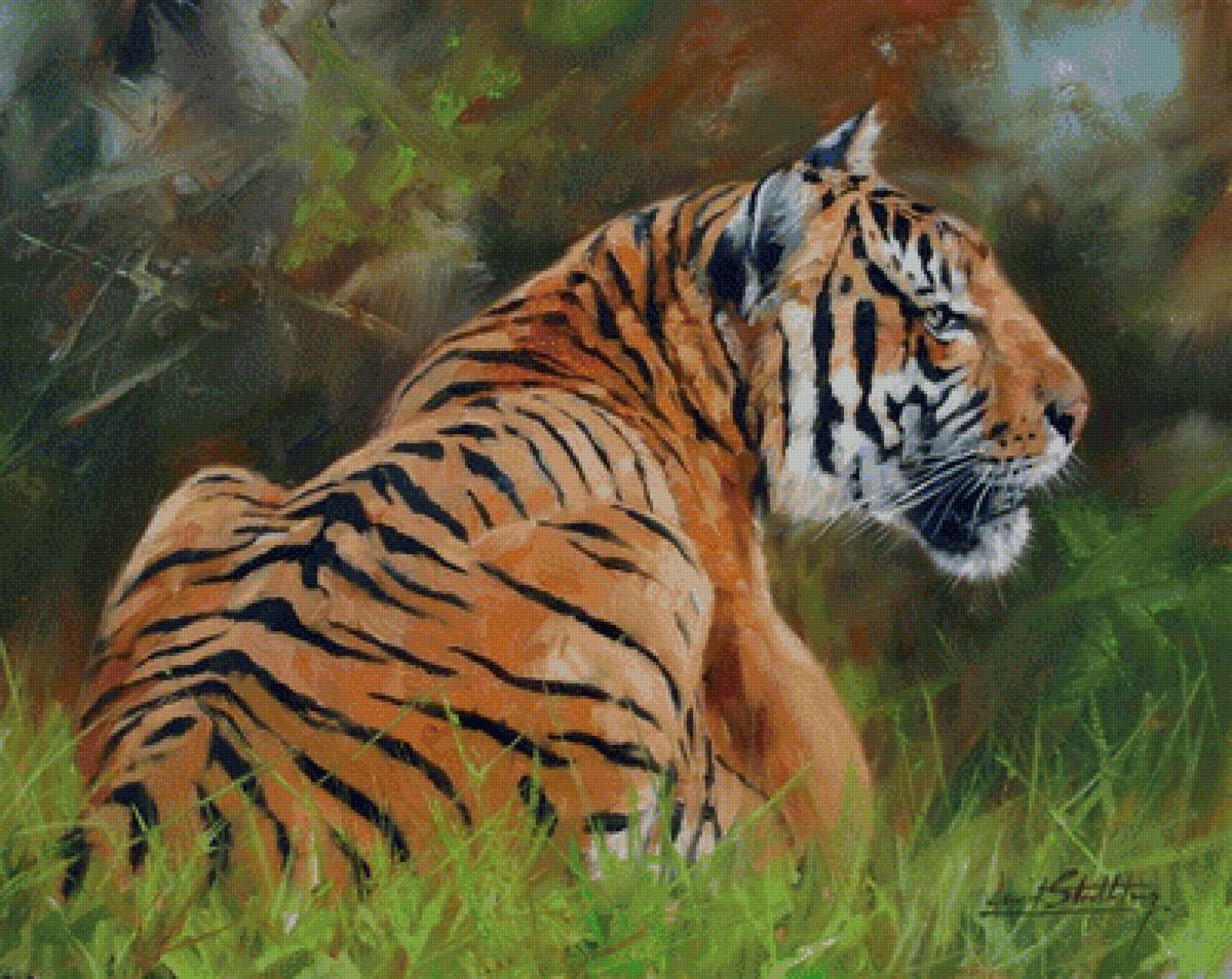 серия хищники. тигр - хищники, тигр - предпросмотр