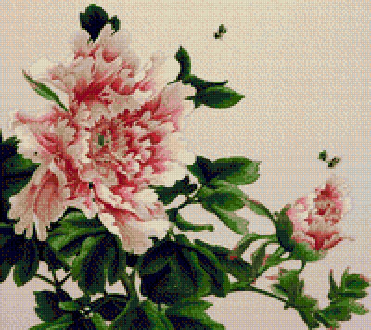 Цветы. - цветы - предпросмотр