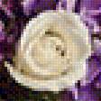 Предпросмотр схемы вышивки «Белые розы» (№1859325)