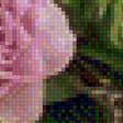 Предпросмотр схемы вышивки «Розы со свечами» (№1859358)