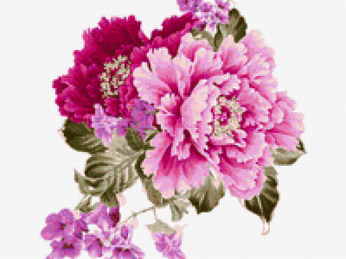 Цветы. - цветы - предпросмотр