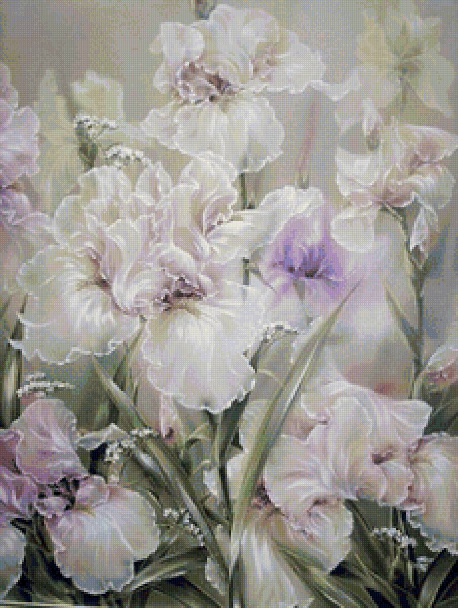 Півники - предпросмотр