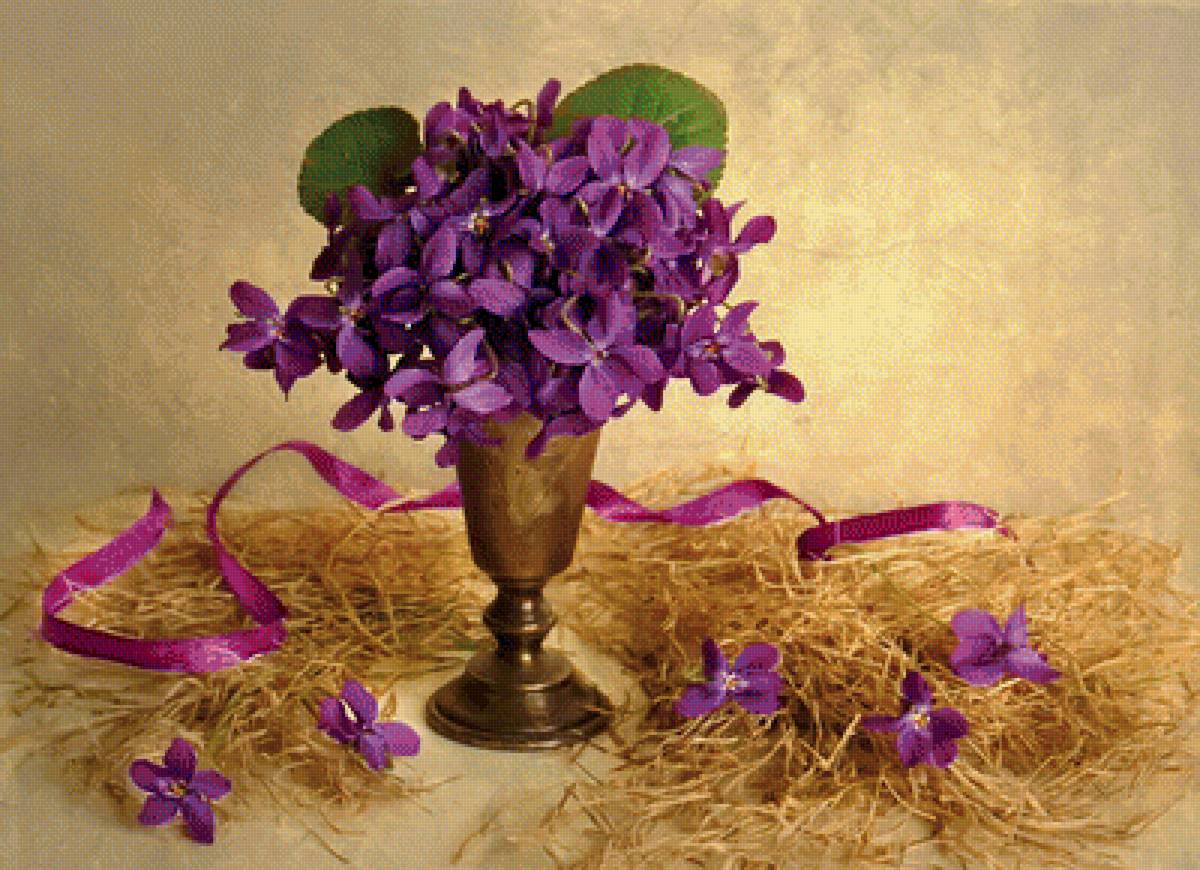 Фиалки - фиалки, цветы, букет - предпросмотр