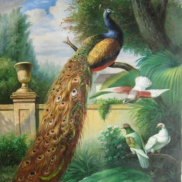Птицы - живопись, павлин, природа, птицы - оригинал