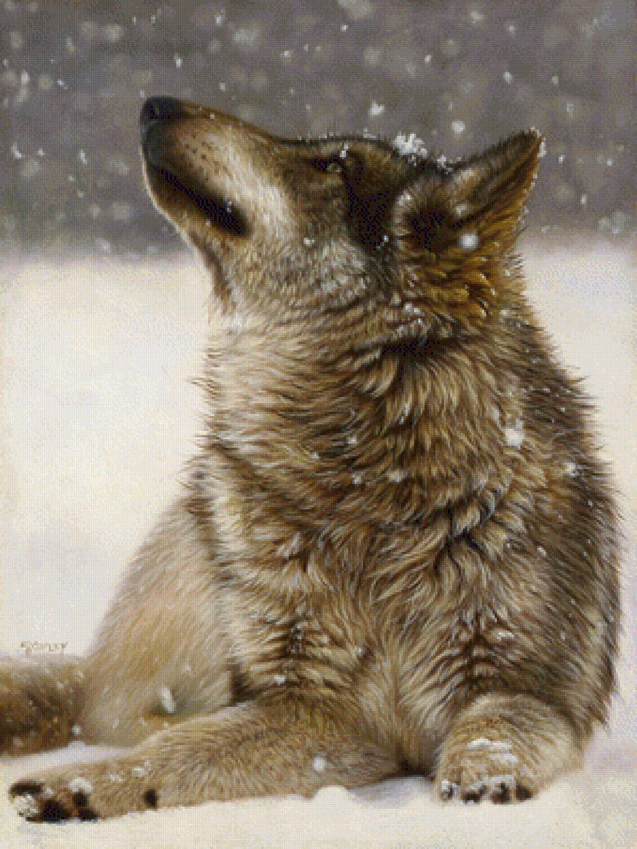 Собака - собака, зима, животные, снег - предпросмотр