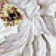 Предпросмотр схемы вышивки «№1860350»
