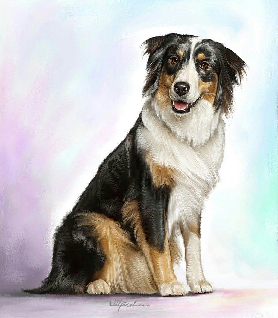 Собачка - собака, art, животные - оригинал