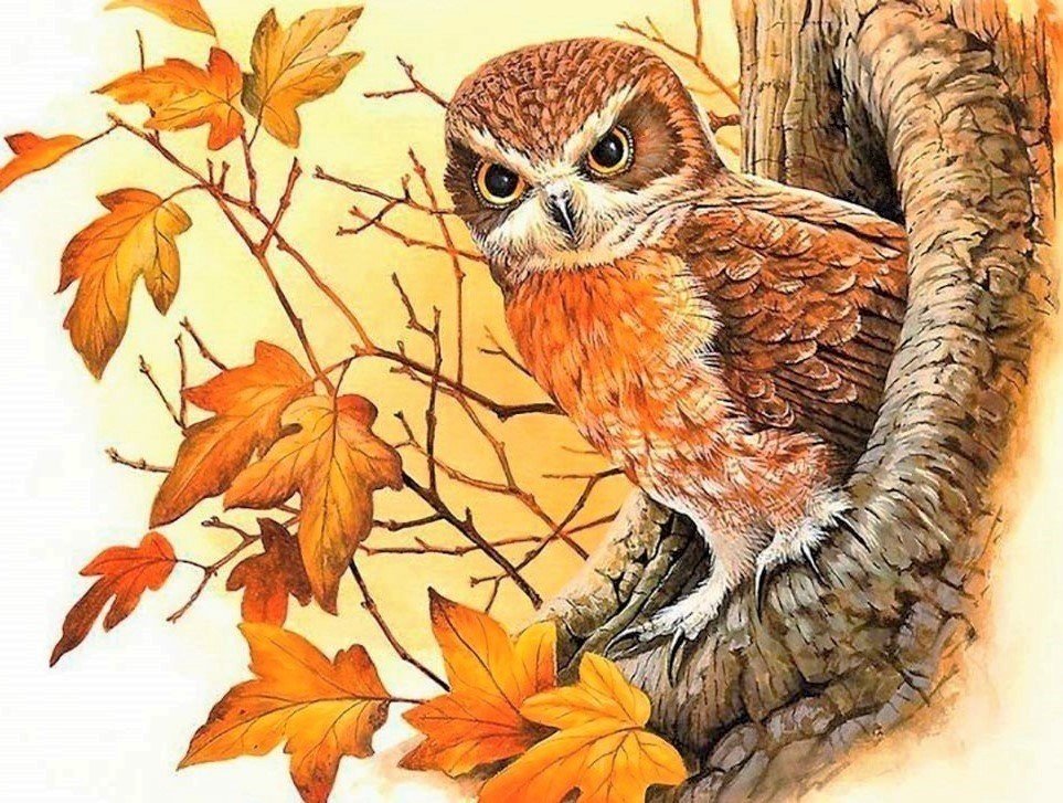 Совушка в дупле - птица, сова, осень - оригинал