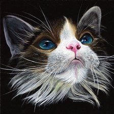 Схема вышивки «gato»