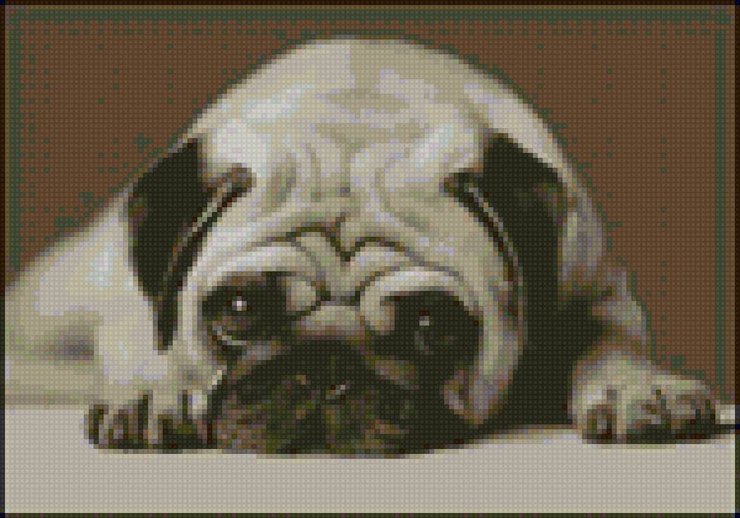 perro - предпросмотр