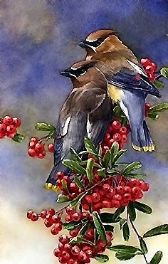 птицы - птицы - оригинал