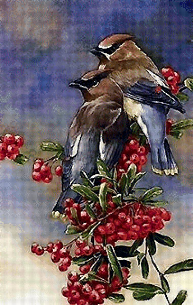 птицы - птицы - предпросмотр