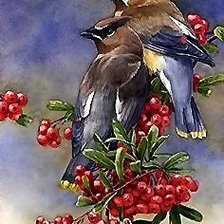 Схема вышивки «птицы»