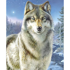 Оригинал схемы вышивки «Серия "Хищники". Волк» (№1861535)