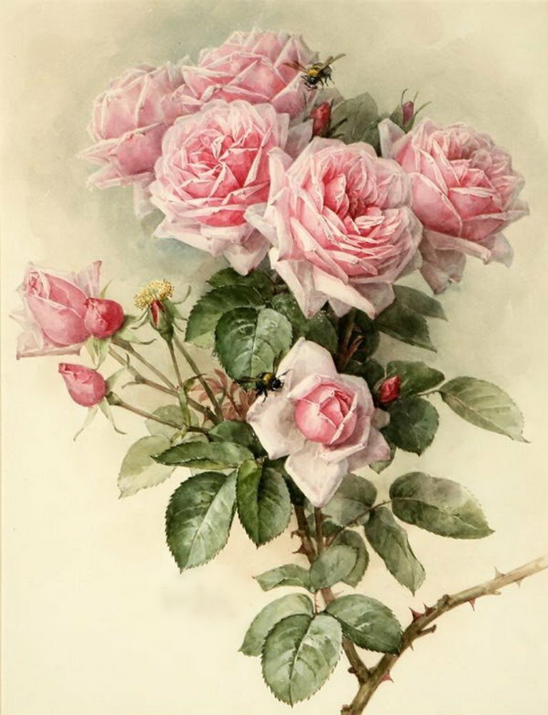 Чайные розы - оригинал
