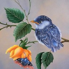 Схема вышивки «птенец»