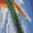 Предпросмотр схемы вышивки «стрелиция» (№1861955)