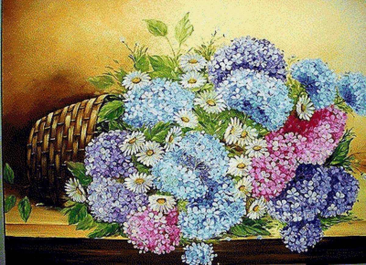 №1862006 - гортензия - предпросмотр